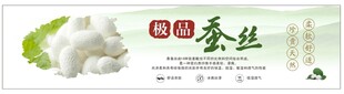 桑蚕丝 丝绸海报