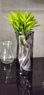 玻璃花瓶中绿植与透明杯