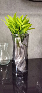 简约花瓶中的翠绿植物