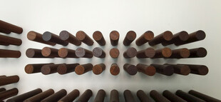 整齐排列的棕色圆木