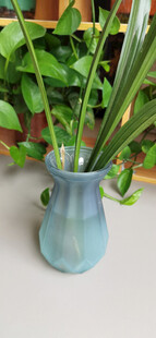 蓝花瓶中绿植清新雅致