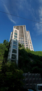 高楼矗立在葱郁山林间