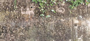 阴暗潮湿斑驳墙面