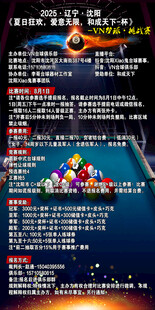 台球赛事海报