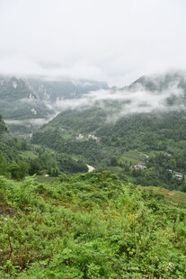山间绿野云雾缭绕美景