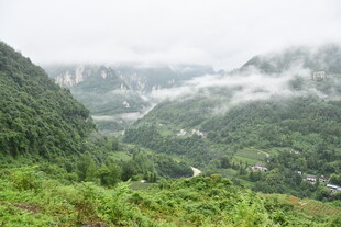 山间云雾缭绕的翠绿景致