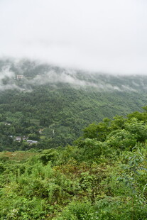 云雾缭绕的翠绿山间美景