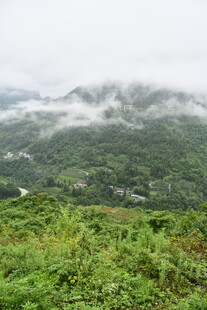 山间云雾缭绕的绿意景致
