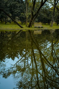 林间静谧湖水倒影美景