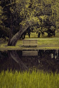 湖畔绿树倒影的静谧美景