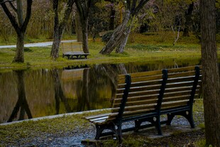 湖畔长椅 静谧自然景致