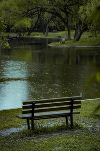 湖畔长椅 静享自然之美