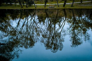 湖面树影倒影静谧美景