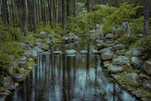 山林间的静谧溪流