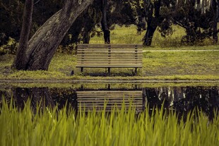湖畔长椅 静谧自然景致