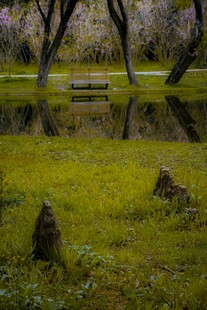 春日湖畔草地与繁花景致