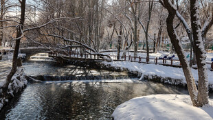 冬日河畔雪景