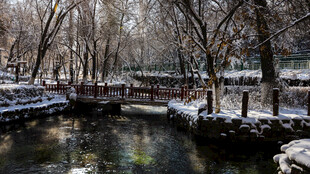 冬日河畔雪景