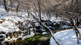 冬日雪覆山林溪流美景