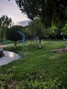公园绿地景观