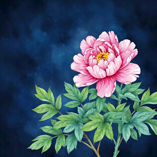 AI生画