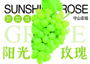 阳光玫瑰葡萄宣传图