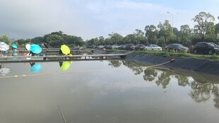 湖畔多彩遮阳伞倒映水中