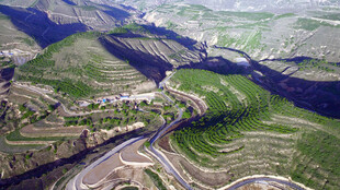 蜿蜒山路于翠绿山谷间