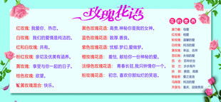 玫瑰花语