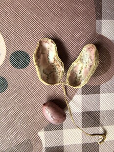 脱壳花生粒和花生壳