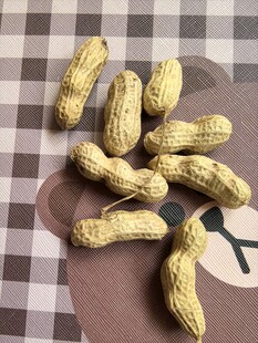 新鲜饱满散落的花生