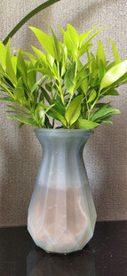 花瓶中的翠绿植物