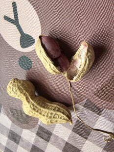 剥开的花生与完整花生