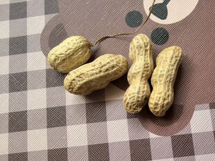 桌上的几颗新鲜花生