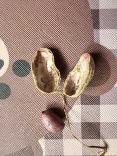 剥开的花生与周边小物