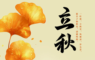立秋时节银杏叶美景