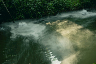 林间溪流 水汽氤氲之景