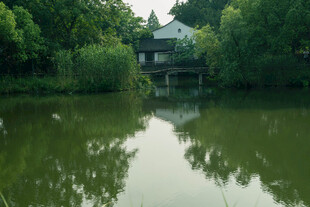 湖畔绿林环绕的静谧小屋