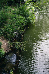 宁静河畔绿植环绕美景