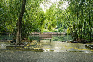 清幽林间水景公园
