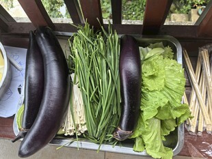 新鲜蔬菜组合展示