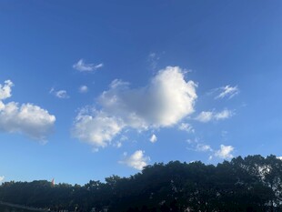 蓝天绿树间的白云美景