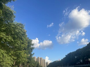 蓝天绿树间的城市景致
