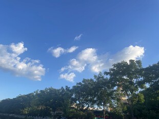 蓝天绿树间的悠然景致