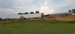 开阔草地旁的低矮建筑群