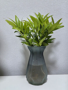 灰瓶中翠绿植物清新雅致