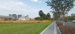 校园旁的开阔草地与道路