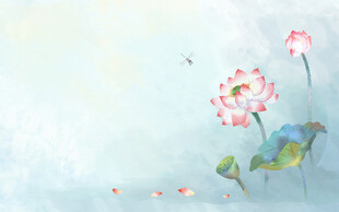 荷花