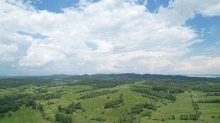 广袤绿野与蓝天白云景观