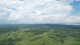 广袤绿野 天际云景
